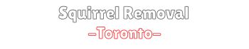 squirrelremoval-toronto.ca